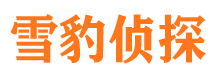 崇阳侦探公司